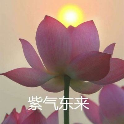 口袋街霸公益服下载